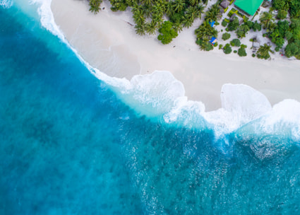 Header bedfinder Strandbild mit Meer und Palmen